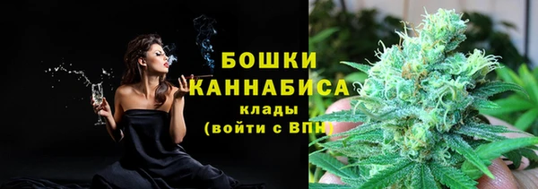 гидра Алзамай