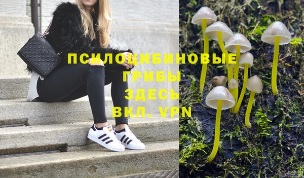 экстази Алексеевка