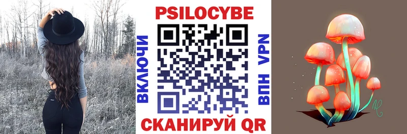 OMG онион  Киреевск  Галлюциногенные грибы Magic Shrooms  цена наркотик 