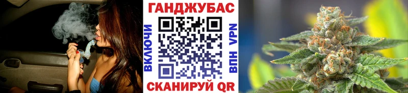 Конопля семена  МЕГА вход  Киреевск 